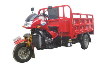 Wanglong  WL250ZH right three-wheeled motorcycle 