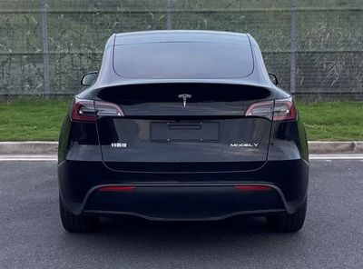 Tesla TSL6480BEVAR4 Pure electric multi-purpose passenger vehicles