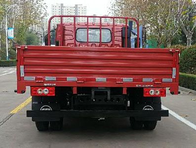 Foton  BJ1073VDJDAGF Truck