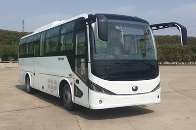 Yutong ZK6820BEVG13CPure electric city buses