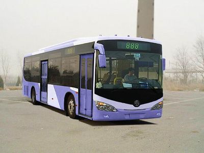 Yaxing  YBL6890GH City buses