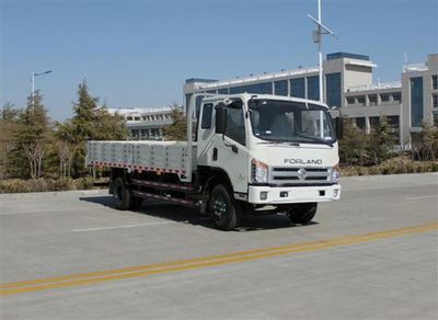 Foton  BJ1103VEPEGA2 Truck