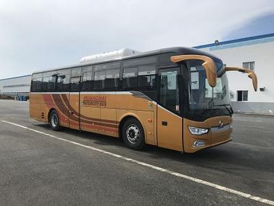 Huanghai  DD6115BEV2 Pure electric city buses