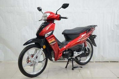 Dayang DY12566NTwo wheeled motorcycles