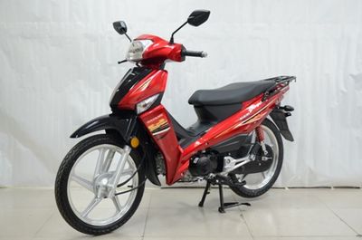 Dayang  DY12566N Two wheeled motorcycles