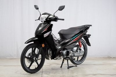 Dayang  DY12566N Two wheeled motorcycles