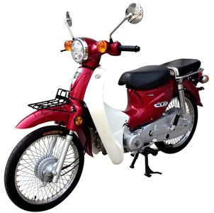 Luojia  LJ11029D Two wheeled motorcycles