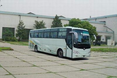 Yaxing  YBL6118HE31 coach