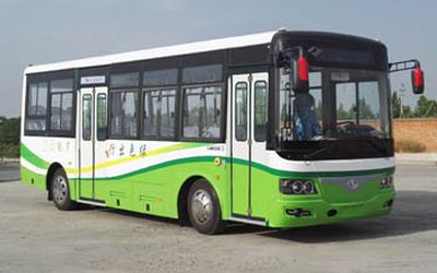 Shaolin  SLG6805EVG Pure electric city buses