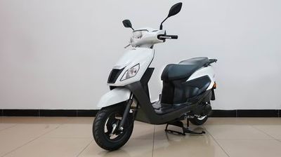 Wuyang Honda  WH100T6A Two wheeled motorcycles