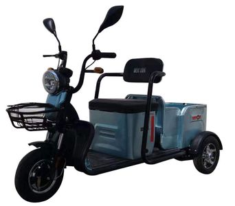 Europa  OP500DQZ2 Electric three wheeled light motorcycle