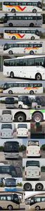 Zhongtong Automobile LCK6116EVGA1 Pure electric city buses