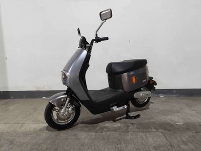 Europa  OP600DQT12 Electric two wheeled light motorcycle