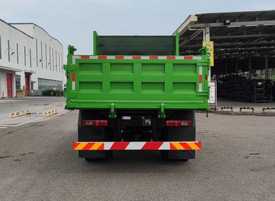 Hongyan  CQ3187AY05421 Dump truck