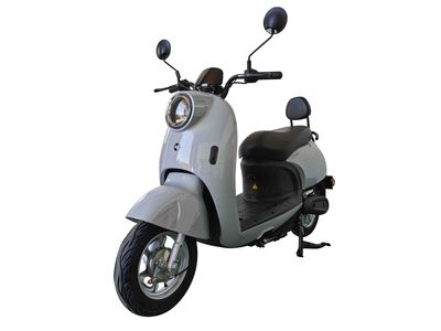 Dayang  DY1200DT3 Electric two wheeled motorcycle