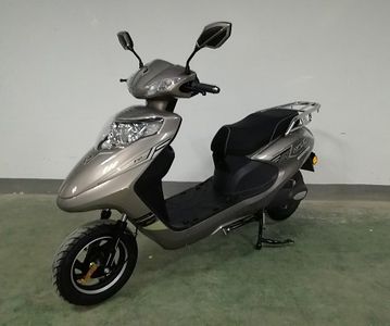 Trevi Lion TS800DQT2 Electric two wheeled light motorcycle