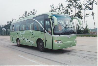 Huanghai  DD6952K01 coach