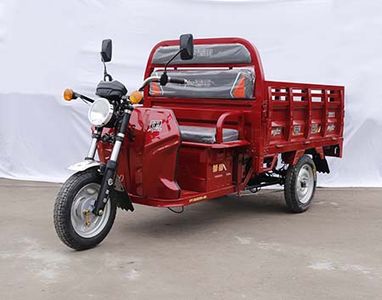 Putian  PT1200DZH2A Electric tricycle