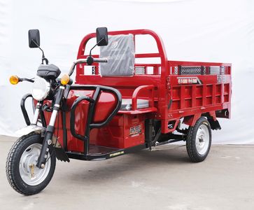 Putian  PT1200DZH2A Electric tricycle