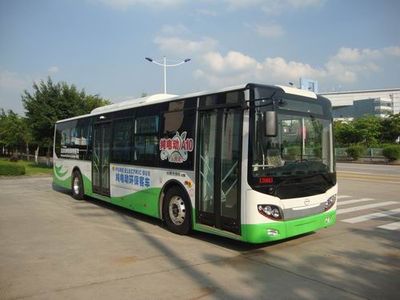 Wuzhoulong  FDG6113EVG4 Pure electric city buses