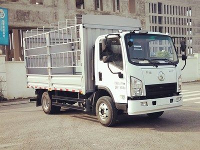 Shaanxi Automobile SX5040CCYNP5331 Grate type transport vehicle