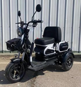 Wanshida  WSD500DQZ6 Electric three wheeled light motorcycle