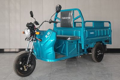 Yulong Motors YL1000DZH3 Electric tricycle