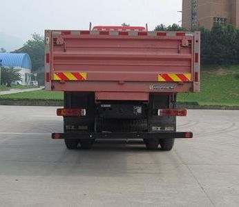 Hongyan  CQ1314HXG466 Truck