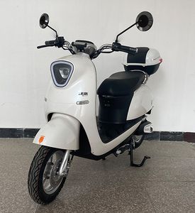 Europa  OP800DQT50 Electric two wheeled light motorcycle