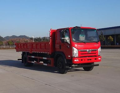 Shitong  STQ3182L10Y2N6 Dump truck