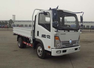 Ace car CDW1042HA1Q4 Truck