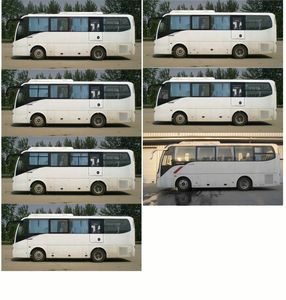 Jinlong  XMQ6802AYD5C1 coach