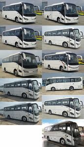 Jinlong  XMQ6802AYD5C1 coach