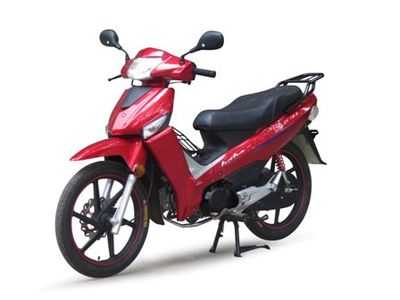 Dayang  DY1108 Two wheeled motorcycles