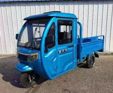 Aokete  AKT1000DZHB Electric tricycle