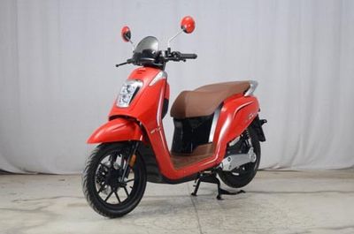 Dayang  DY3000DT Electric two wheeled motorcycle