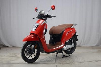 Dayang  DY3000DT Electric two wheeled motorcycle