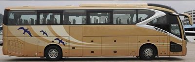 Jinlv  XML6129J15Y coach