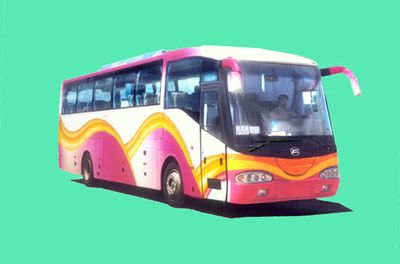 Feichi  FSQ6113HK1 coach