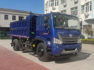 Foton  BJ3244DNPFB04 Dump truck