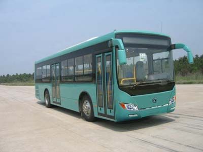 Dongfeng  DHZ6100LN City buses