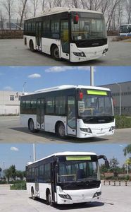 Foton  BJ6831C6MCB1 City buses