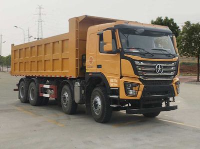 Dayun  CGC3310D6EDAA Dump truck