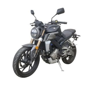 Feiying  FY250GA Two wheeled motorcycles