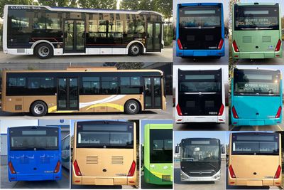 Zhongtong Automobile LCK6106EVGA2 Pure electric city buses