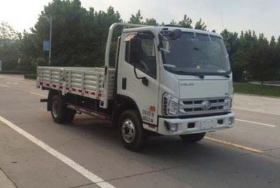 Foton  BJ3043D8JBAFD Dump truck