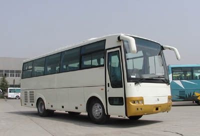 Chongqing brand automobiles ZK6896HB coach