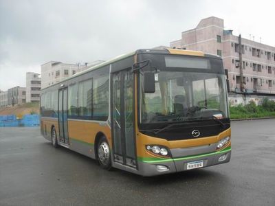 Wuzhoulong  FDG6115G City buses