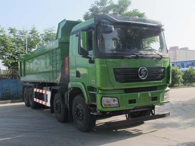 Shaanxi Automobile SX33195D326 Dump truck