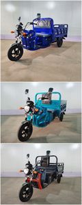 Wangjiang  WJ1500DZH2 Electric tricycle